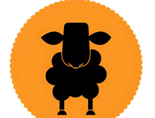 BlackSheep Studio