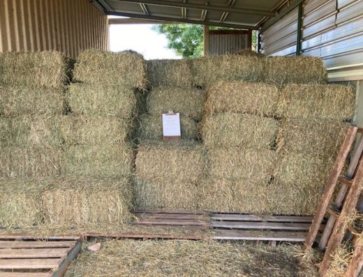 Lucerne Hay Bales
