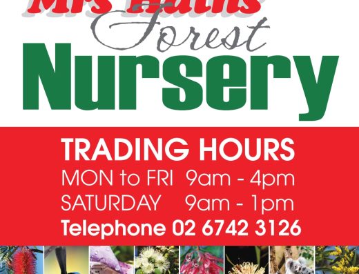 Mrs Haths Forest Nursery