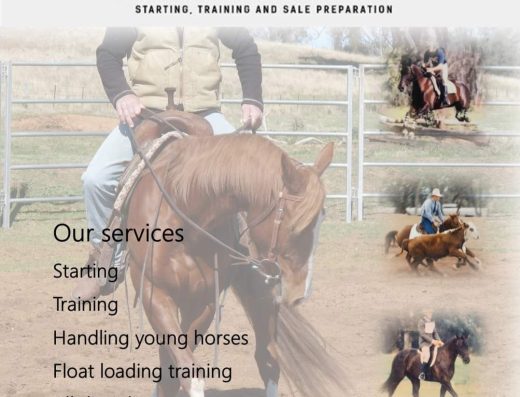 Horse starting and training