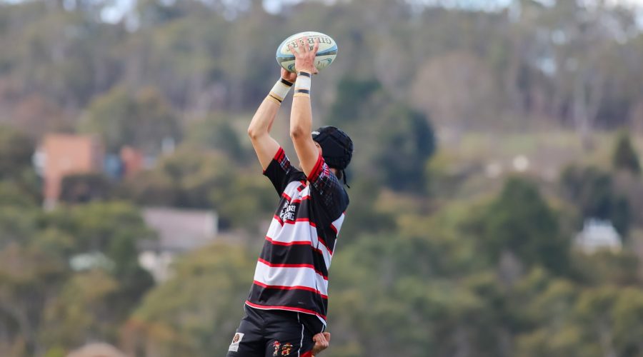 New England Rugby Union Round 1 Results
