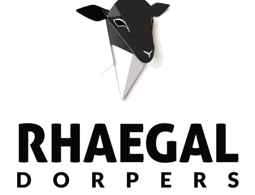 Rhaegal Dorpers