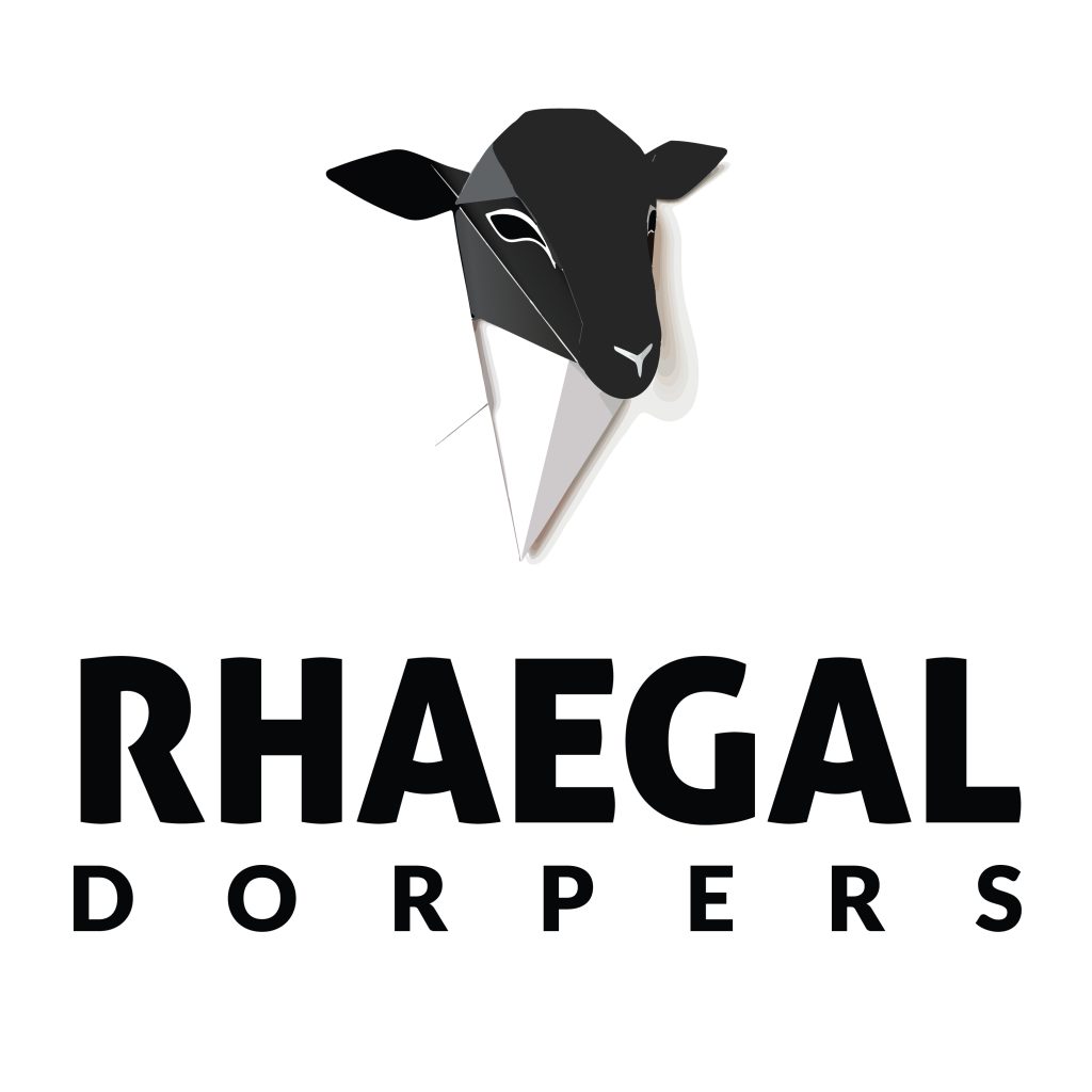 Rhaegal Dorpers