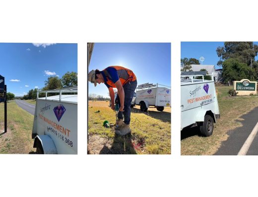 Sapphire Pest Management